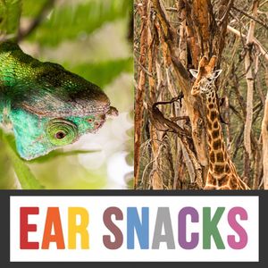 Disguises! (Halloween!)