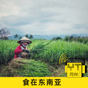 YT023 食在东南亚（下）