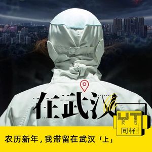 YT088 农历新年,我滞留在武汉(上)
