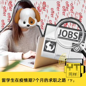 YT124 留学生在疫情期7个月的求职之路(下)