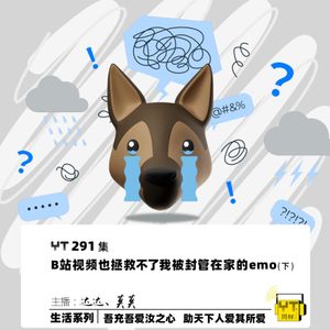 YT291 B站视频也拯救不了我被封管在家的emo(下)
