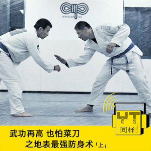 YT106 武功再高也怕菜刀之地表最强防身术（上）
