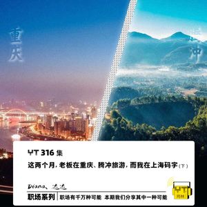 YT315 这两个月，老板在重庆、腾冲旅游，而我在上海码字(上)