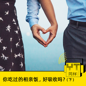 YT047 你吃过的相亲饭，好吸收吗？(下)