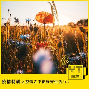 YT092 疫情特辑之我们的工作生活依旧有序（下）