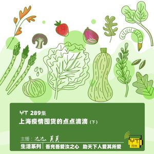 YT289 上海疫情囤货的点点滴滴(下)