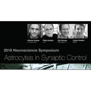 Episode 183 -- Astrocytes in Synaptic Control Symposium