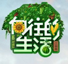 小桥，流水，《向往的生活》