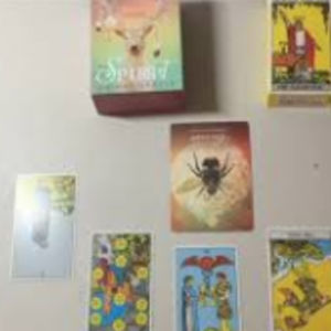 Episode 2: 四选一塔罗图腾动物传递给你的紧急信息