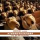 关于感染我们不谈经验只谈感受【话里有话vol-329】