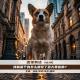 我就遛个狗怎么跟犯了多大罪似的？【话里有话vol-416】