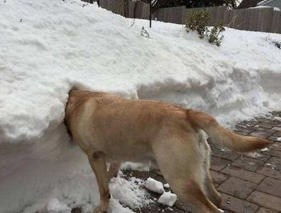 麻烦你冷静一下【离婚冷静期】