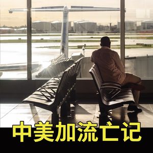 中美加流亡记