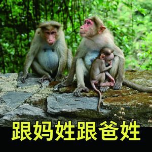 跟妈姓还是跟爸姓？