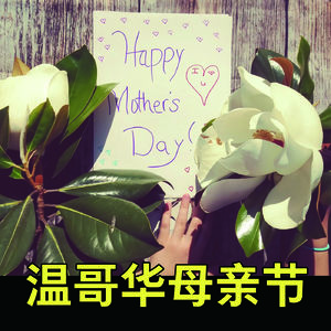 中加母亲节对比