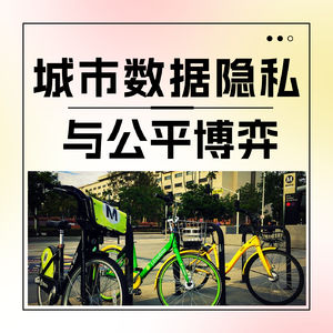 城市数据隐私与公平博弈