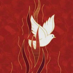 午后的奇妙精神世界