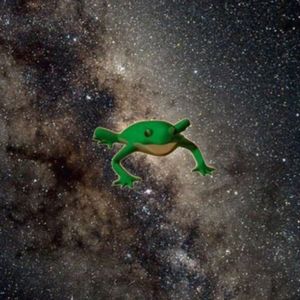 占星蛤蟆的星座秘闻