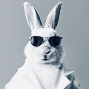 我和我的宠物们（下）