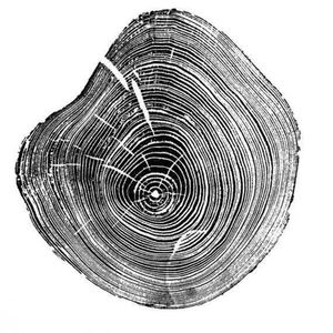 咱当兵的人【1】