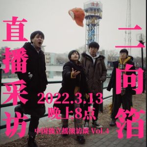 幽声隧道电台第432期 - 中国独立摇滚访谈 Vol.4 二向箔乐队