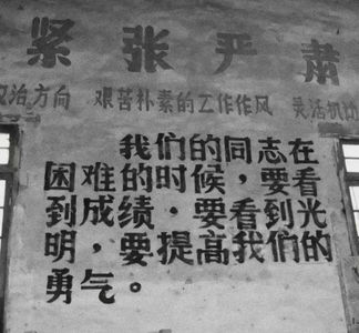 14：初入职场的我们