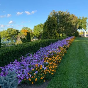 那些年，对我影响重大的老师们