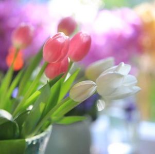 一代移民的困扰：语言和文化