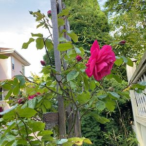 做好家庭教育，为孩子的未来发展筑起守护的堤坝