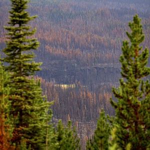 婚姻是否需要“门当户对”