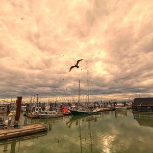 课外班辅导班眼花缭乱，怎么选？