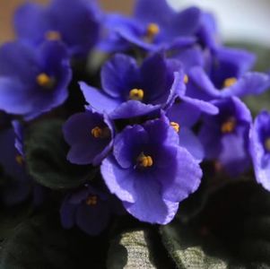 生活多挫折，要学会自娱自乐