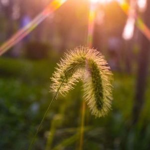 受尊重的孩子才有自尊