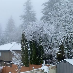 在加拿大，新移民有哪些可能的谋生方式