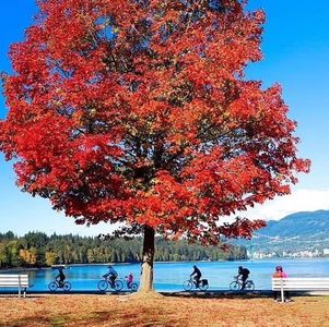 以加拿大财商教育为例：家长认知应如何成长