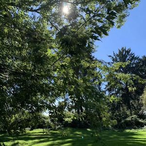 致新移民：急什么，大幕才刚拉开