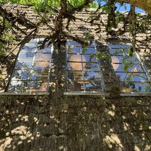 朋友都在多伦多，我想在温哥华定居，怎么样