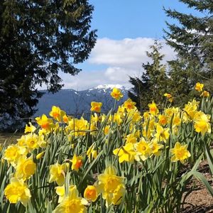 同样的“推娃”，不同的目的