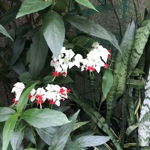 意外之旅第三四五天