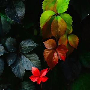 抑郁症离我们并不远