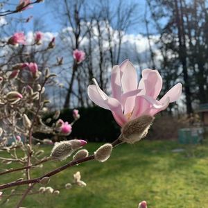 陪读妈妈们面对的挑战与机遇