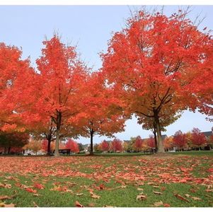 金融？计算机？法律？孩子大学选什么专业有前途？