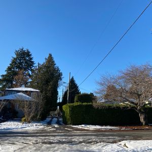 特别的日子，特别的欢喜给特别的你