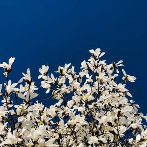 都知道没有后悔药，怎么才能不后悔？