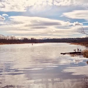 为什么我们不要“护犊子”，无论教育孩子还是自我成长