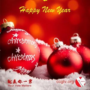 小留成绩不好，大学怎么读，是否回国发展？