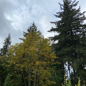 我的加拿大移民生活：01