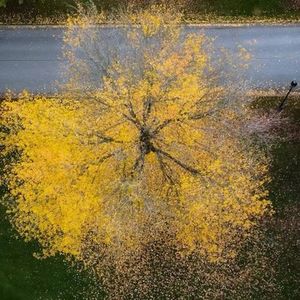 关于某年轻人牛津申请之二三事