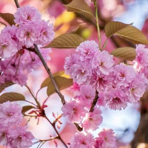 父母依亲团聚的“五个一”幸福指南