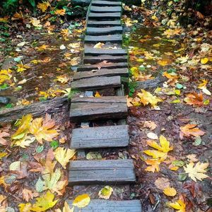 关于高中留学、陪读妈妈二三问